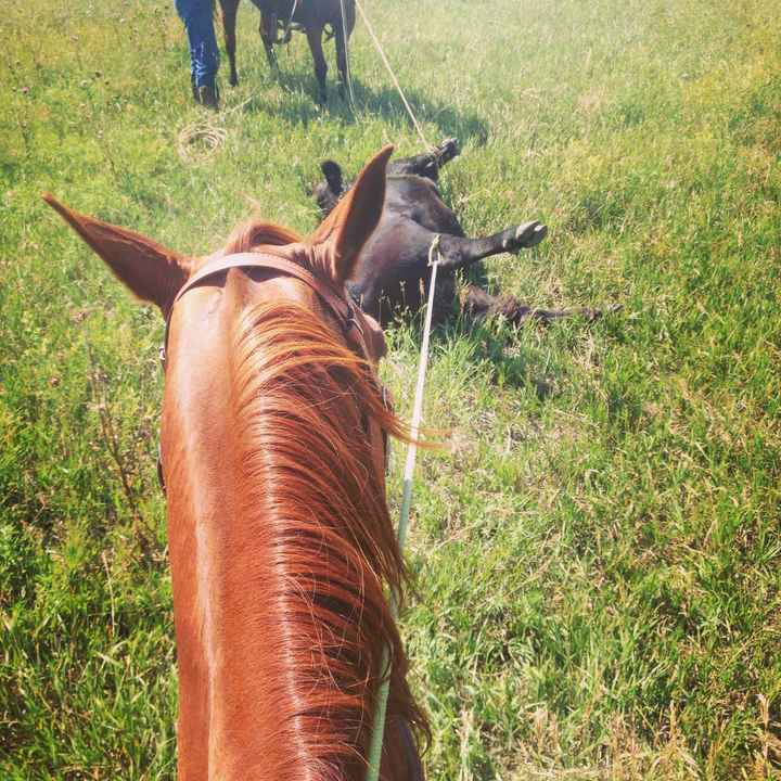 Oh wow, Happy Saturday!