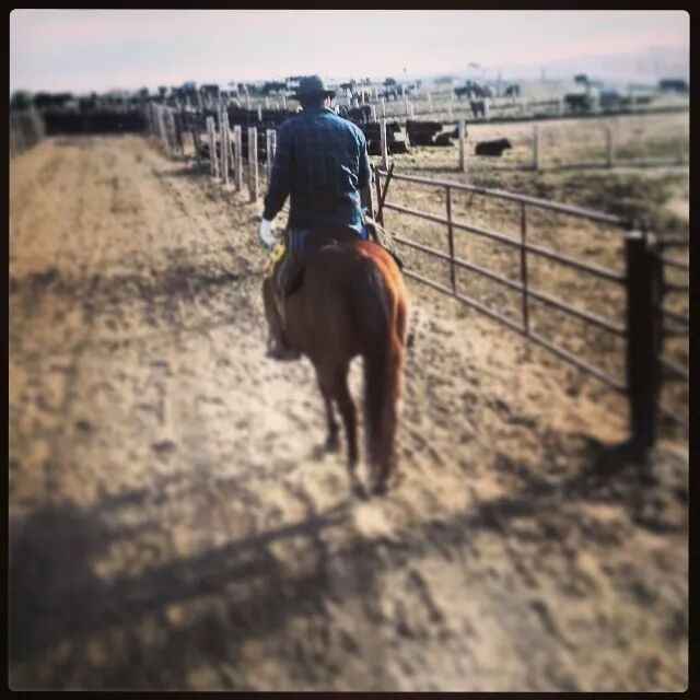 Just for fun : FH brag post ( let's hear yours!)