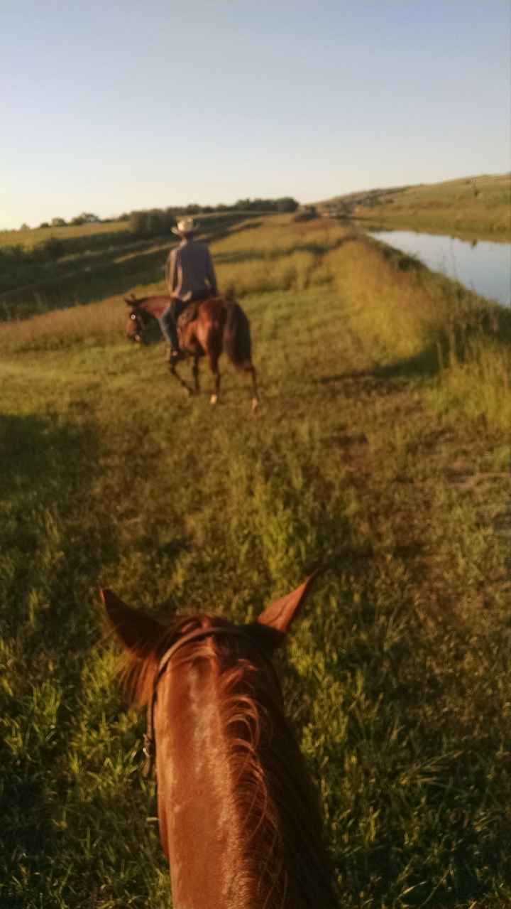 Anyone get too caught up in wedding planning that they forget to just have fun with FH?