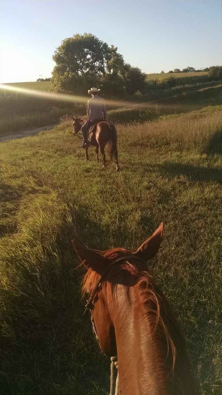 Anyone get too caught up in wedding planning that they forget to just have fun with FH?