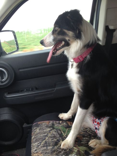NWR: My four-legged child turns THREE today!!! *I want pics of yours*