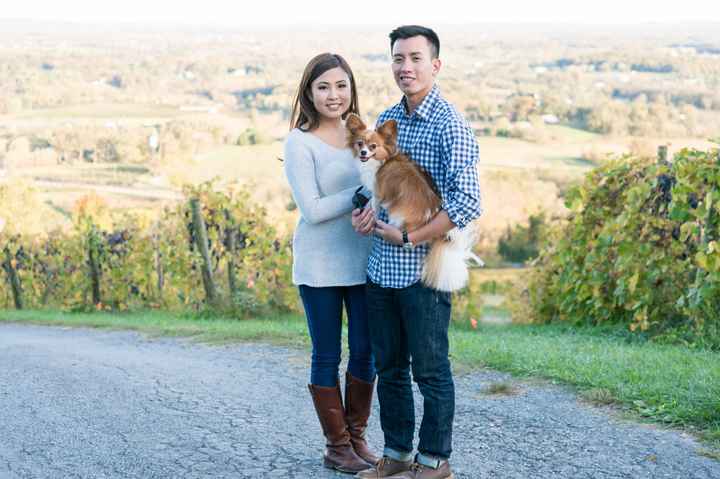 Just received our engagement pics and I'm over the moon!