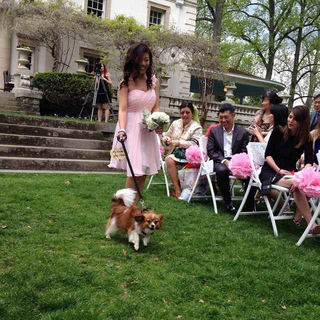 BAM! More perfect than I can ever ask for