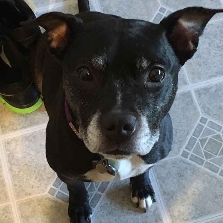 NWR- Hold your fur babies a little tighter