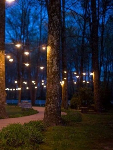 Let's see where you're getting married! Show off your wedding venue!! 2