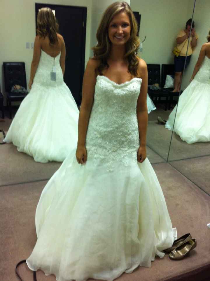 My dress finally came in! Pics