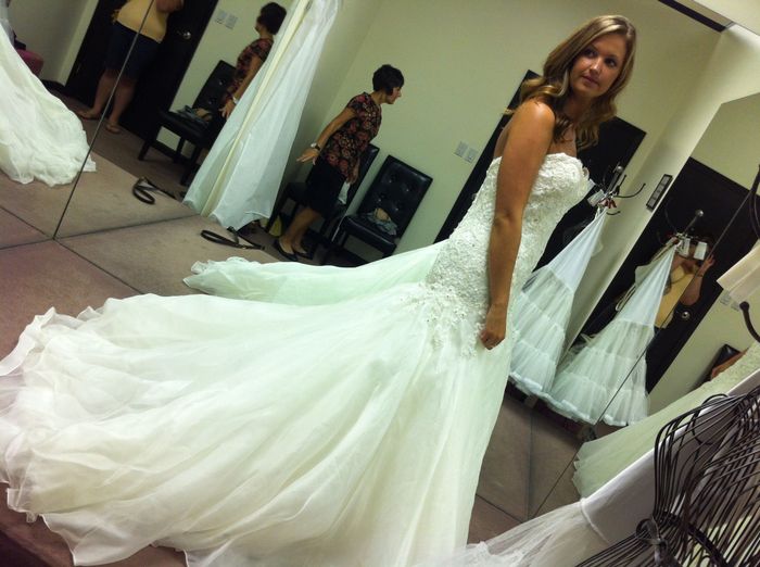 My dress finally came in! Pics