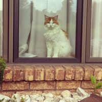 I'm in need of a post like this! {POST YOUR PICS!}