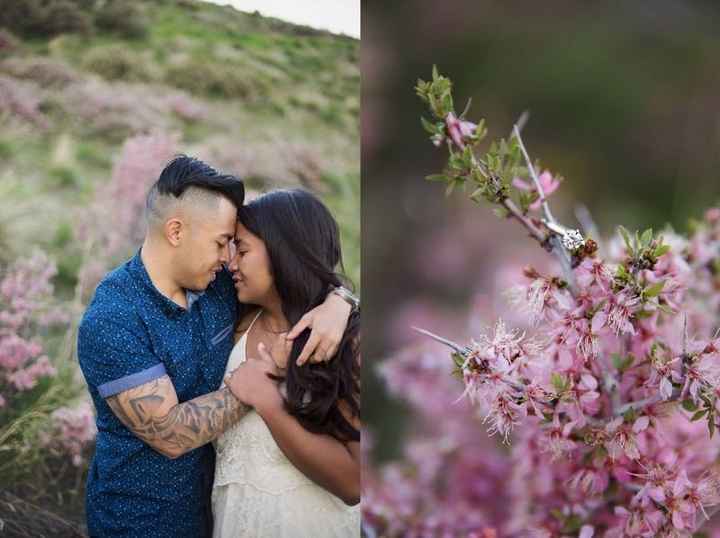 We got our engagement pictures back!