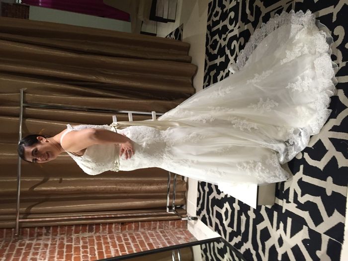 Picked Up THE Dress Today!!! (Pics)