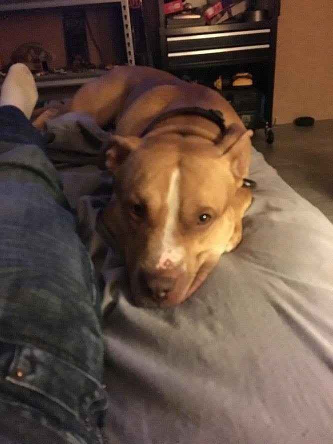 It's Fursday! Share the love!