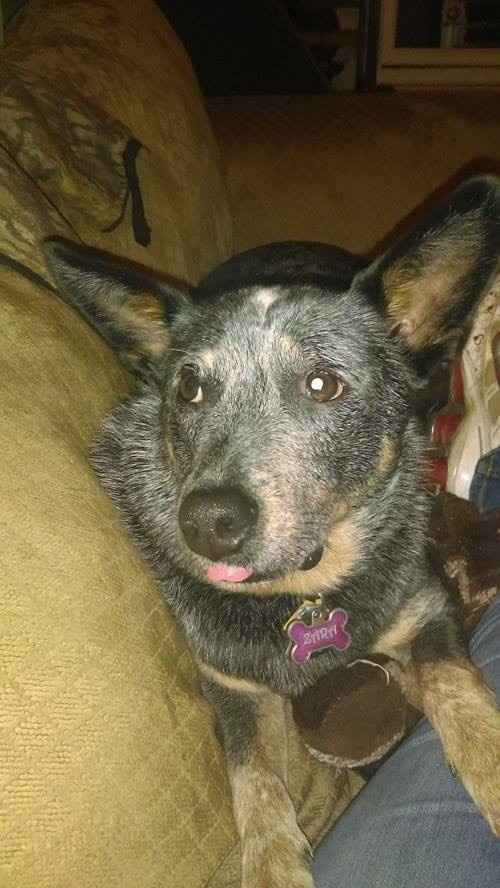 It's Fursday! Share the love!