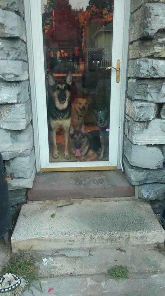 It's Fursday! Share the love!