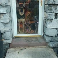 It's Fursday! Share the love!