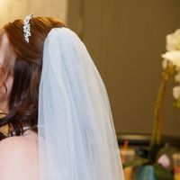 Tiar and /or veil