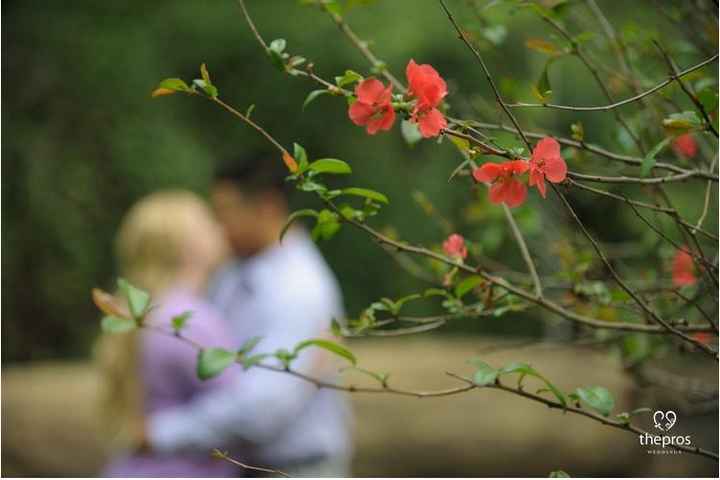 Engagement Pics Arrived