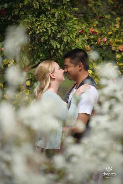 Engagement Pics Arrived