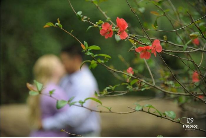 Engagement Pics Arrived