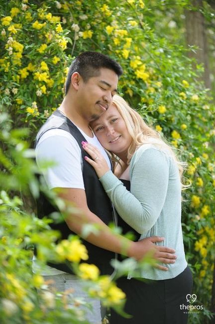 Engagement Pics Arrived