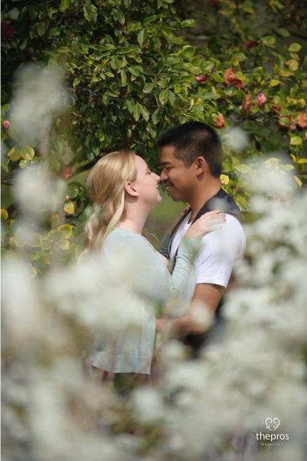 Engagement Pics Arrived