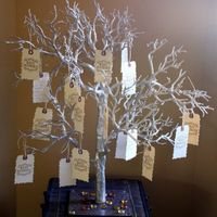 Wish Tree