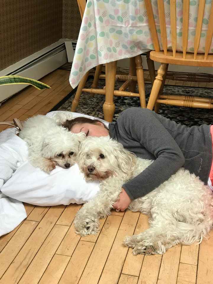 and the morning after on my parents dining room floor haha