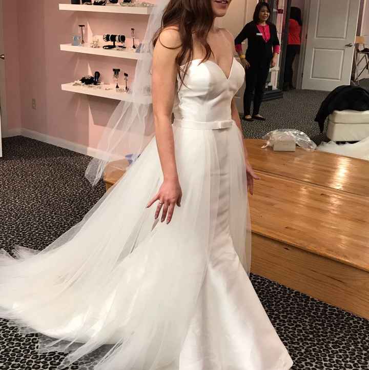 Detachable tulle skirt - thoughts? - 1