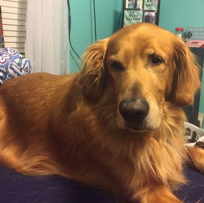 NWR: Puppy Friday!!