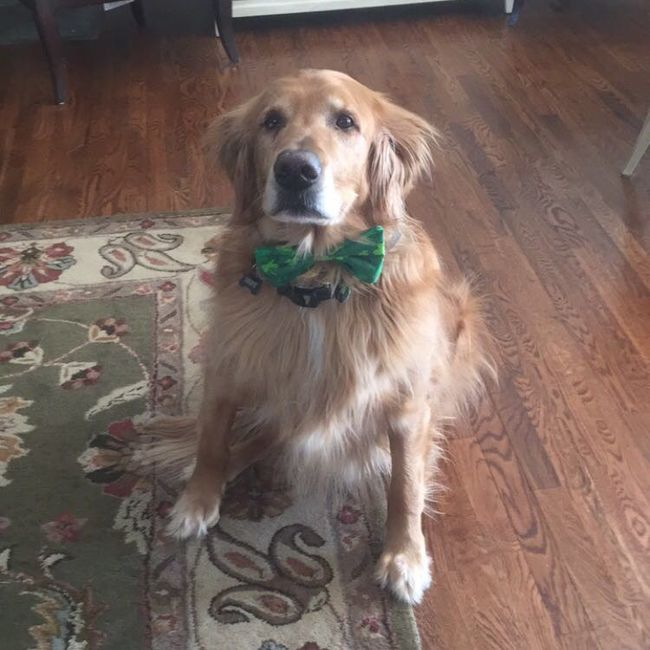 NWR: Furbaby!