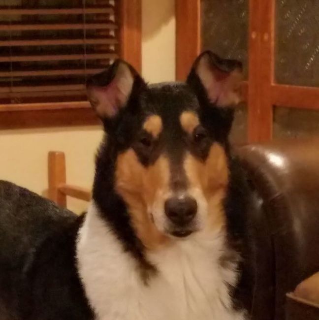 NWR: Furbaby!