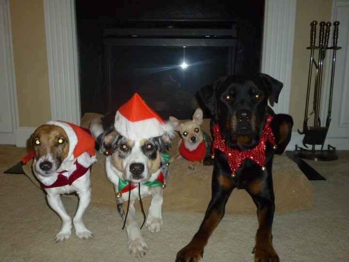 Show mee yourrr…..