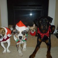 Show mee yourrr…..