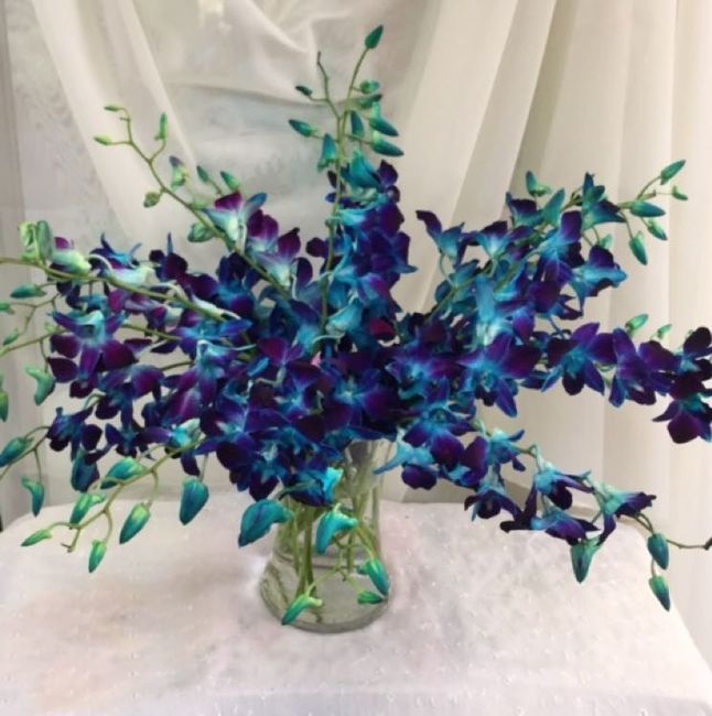 Blue orchids (artificial)