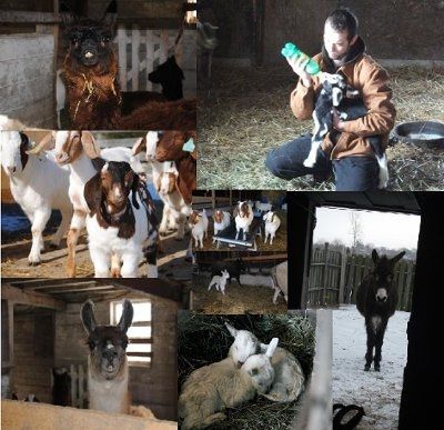 NWR: Furry Friends