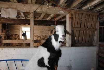 Who had a good day yesterday?