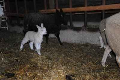 Who had a good day yesterday?