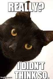 Whoops....just accidentally invited someone