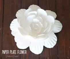 Disposable Plates?