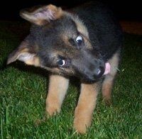 Bachelorette Tonight!