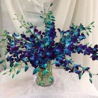 Blue orchids (artificial)