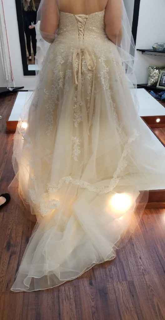 i found my dress! - 3