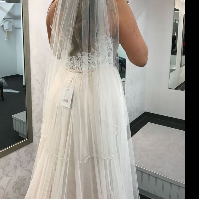 Veil or No Veil?! - 3
