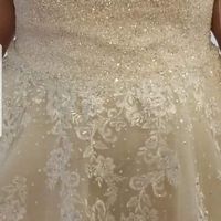 i found my dress! - 2