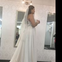 Veil or No Veil?! - 4