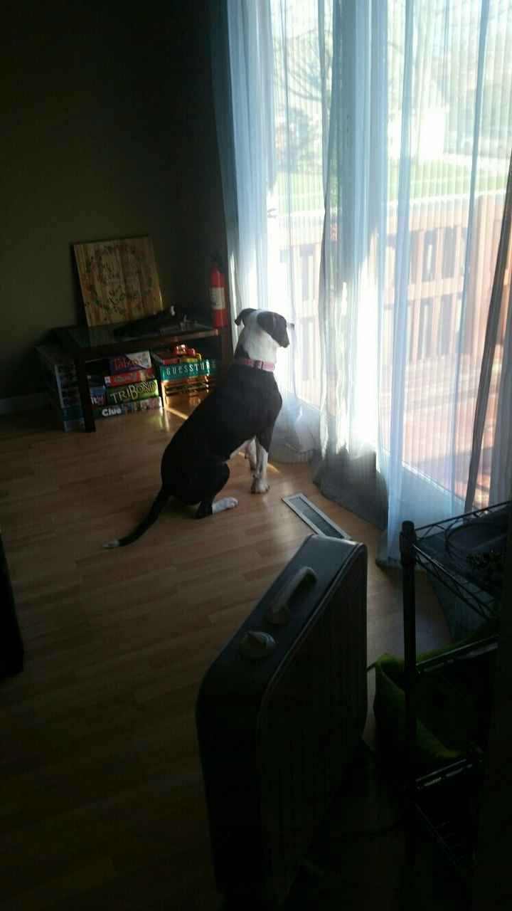 Moving the wedding up