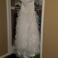 Dress options?!?
