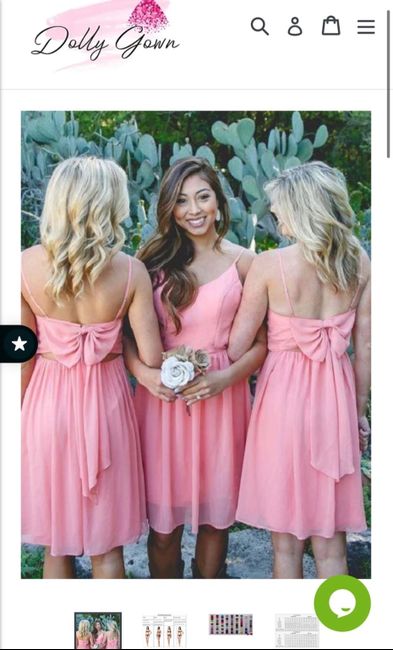 Bridesmaids Dress 1