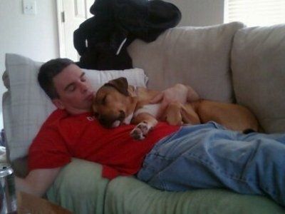 NWR: Lets see our pets!!