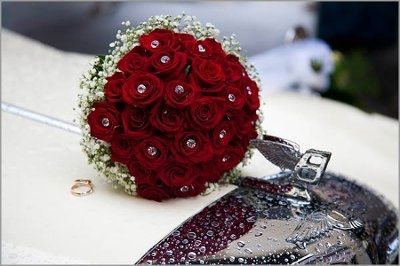 Want to see flowers!!!