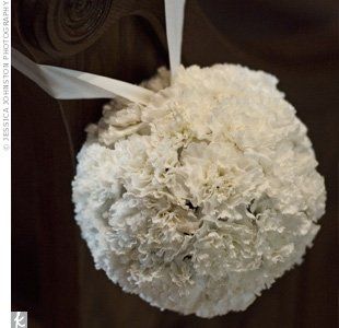 Want to see flowers!!!
